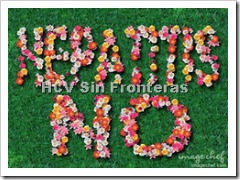 samp45170286a9b16ce8