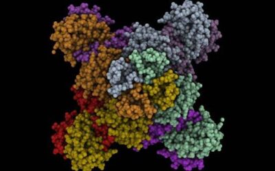 Aplican en Argentina nueva tecnología que permitirá avances en medicación contra Hepatitis C