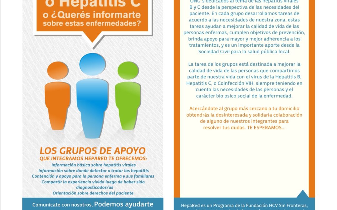 Jornada de actualización en el abordaje bio-psico-social de las hepatitis virales, 10 agosto 2011