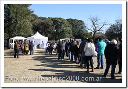 hepatitis-vacuna-deteccion-hcv-sin-fronteras