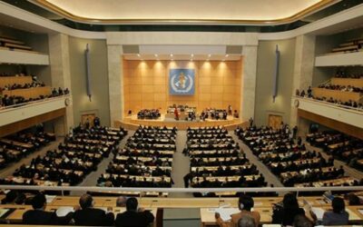 Asamblea Salud aprueba resolución para intensificar lucha contra la hepatitis