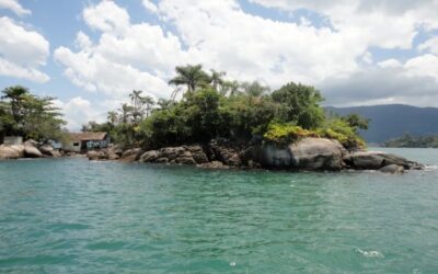 Día a día de tratamiento para hepatitis C en una isla desierta